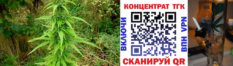 ТГК концентрат  mega как зайти  Санкт-Петербург 